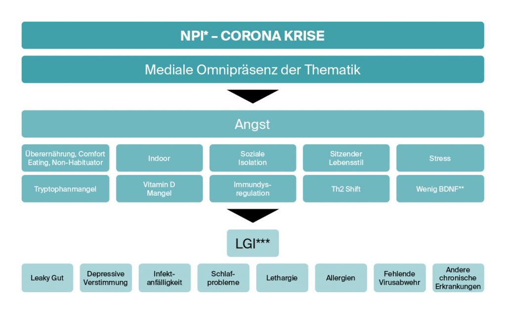 Premium Nahrungsergänzungsmittel & Superfood