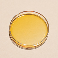 Osole Vitamin D3 + K1 + K2 Bild zu Vitamin-D-K-Kombination