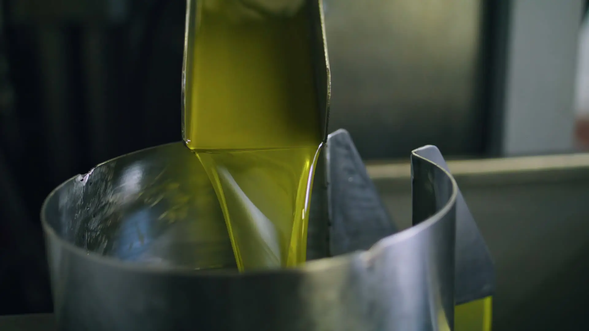 Infografik zur wissenschaftlichen Forschung rund um Phenolio Bio Olivenöl 500 mL