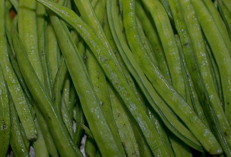 Übersicht der Inhaltsstoffe von Biomfiber PHGG 300g – natürlich & rein