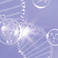 Spermidin Longevity Bild zu Anti-Aging & Zellschutz 