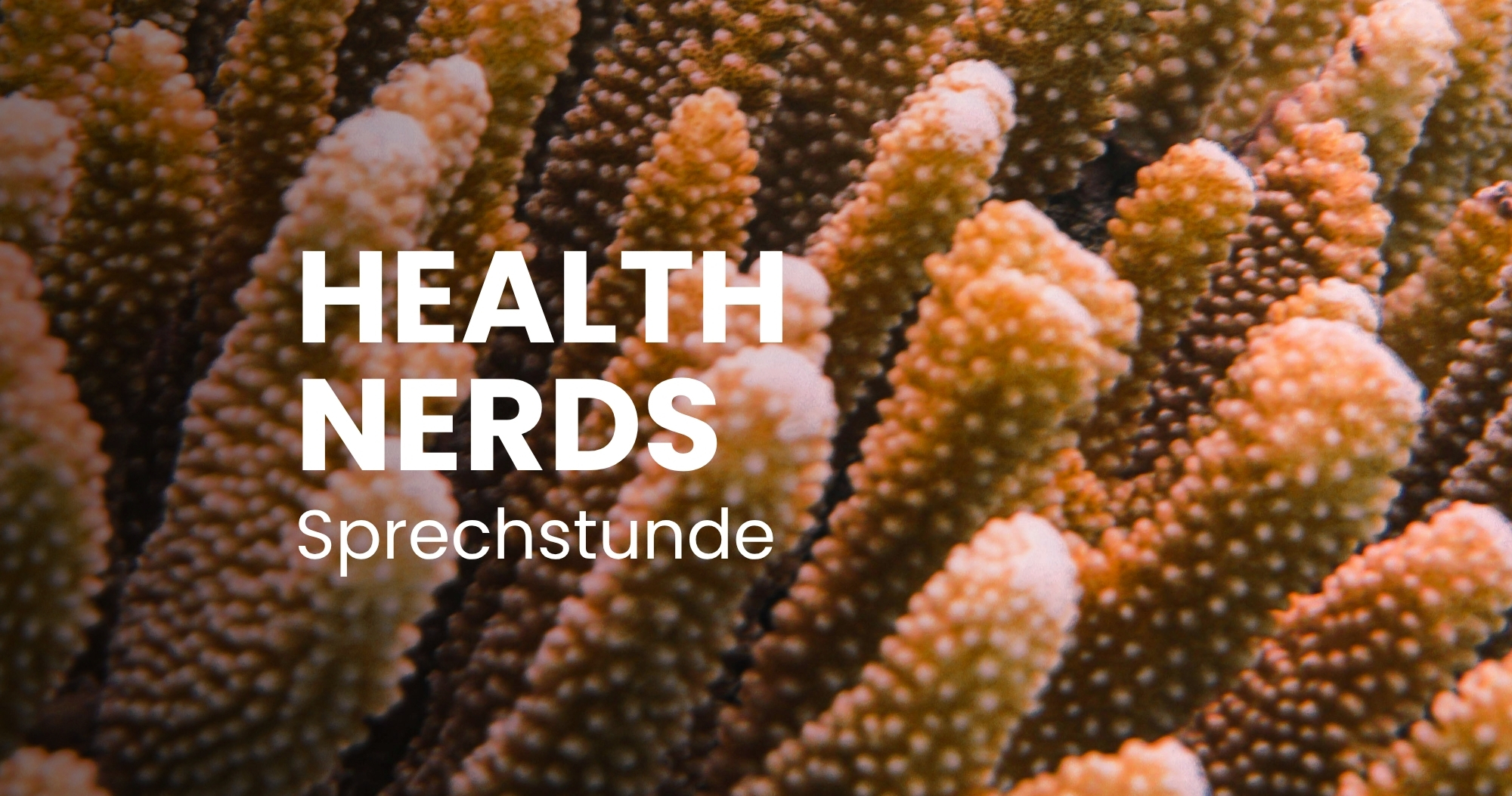 Sprechstunde: Eure Fragen zu Leaky Gut, durchlässigen Darmbarrieren, SIBO und Immunreaktionen