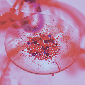 Metabolism Set Bild zu Blood Sugar Regulation