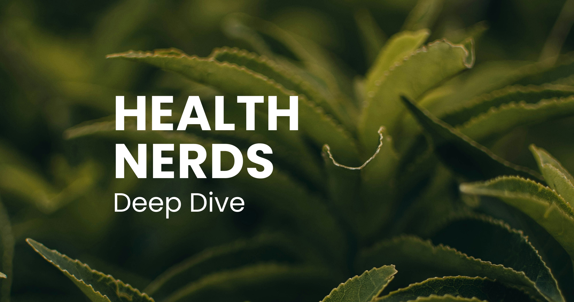 Deep Dive Podcast: L-Theanine - Relaxed Without Sleepiness