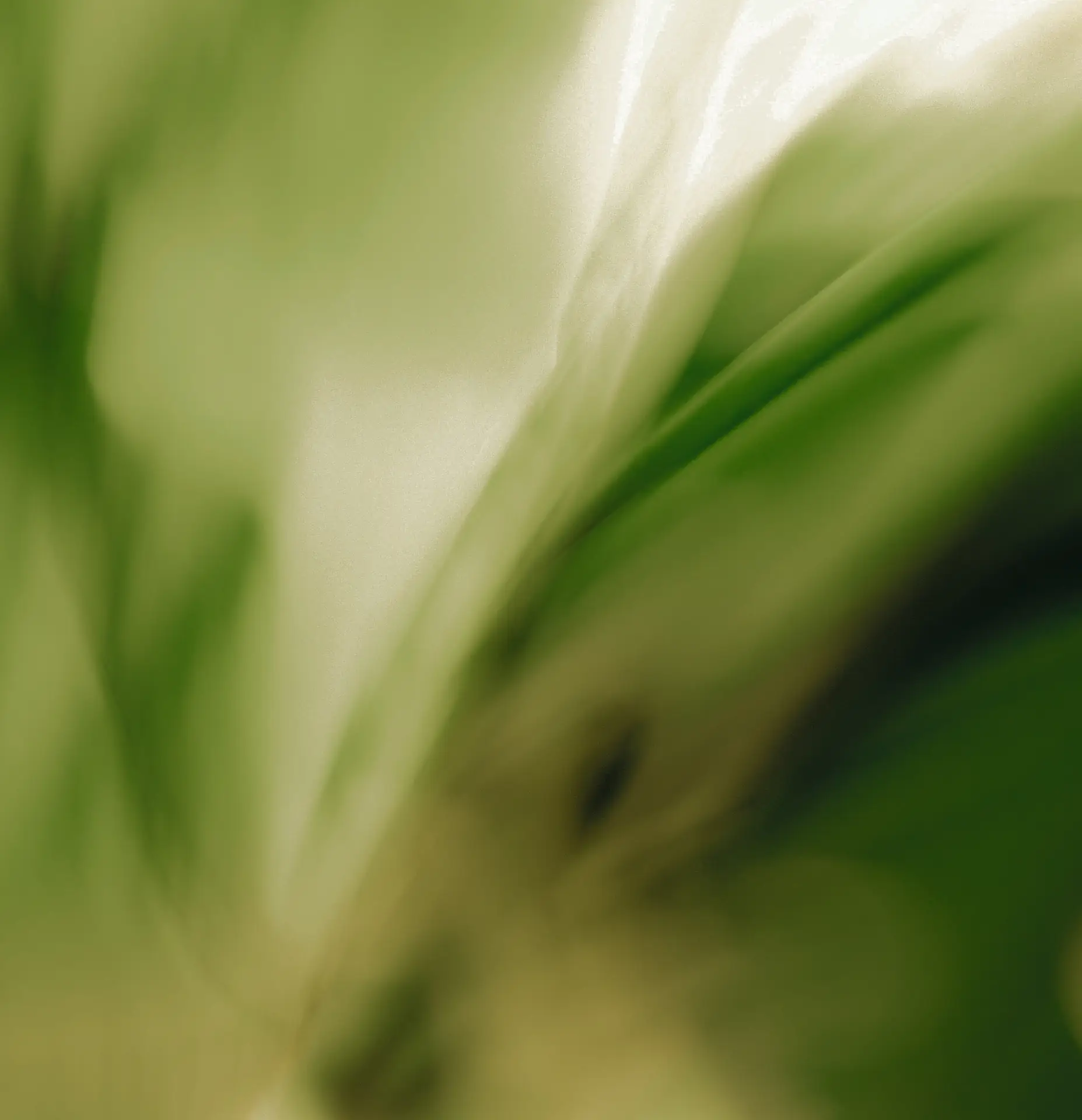 Vitamin B12 Spray 280 µg Bild zu 5-fach schnellere Resorption