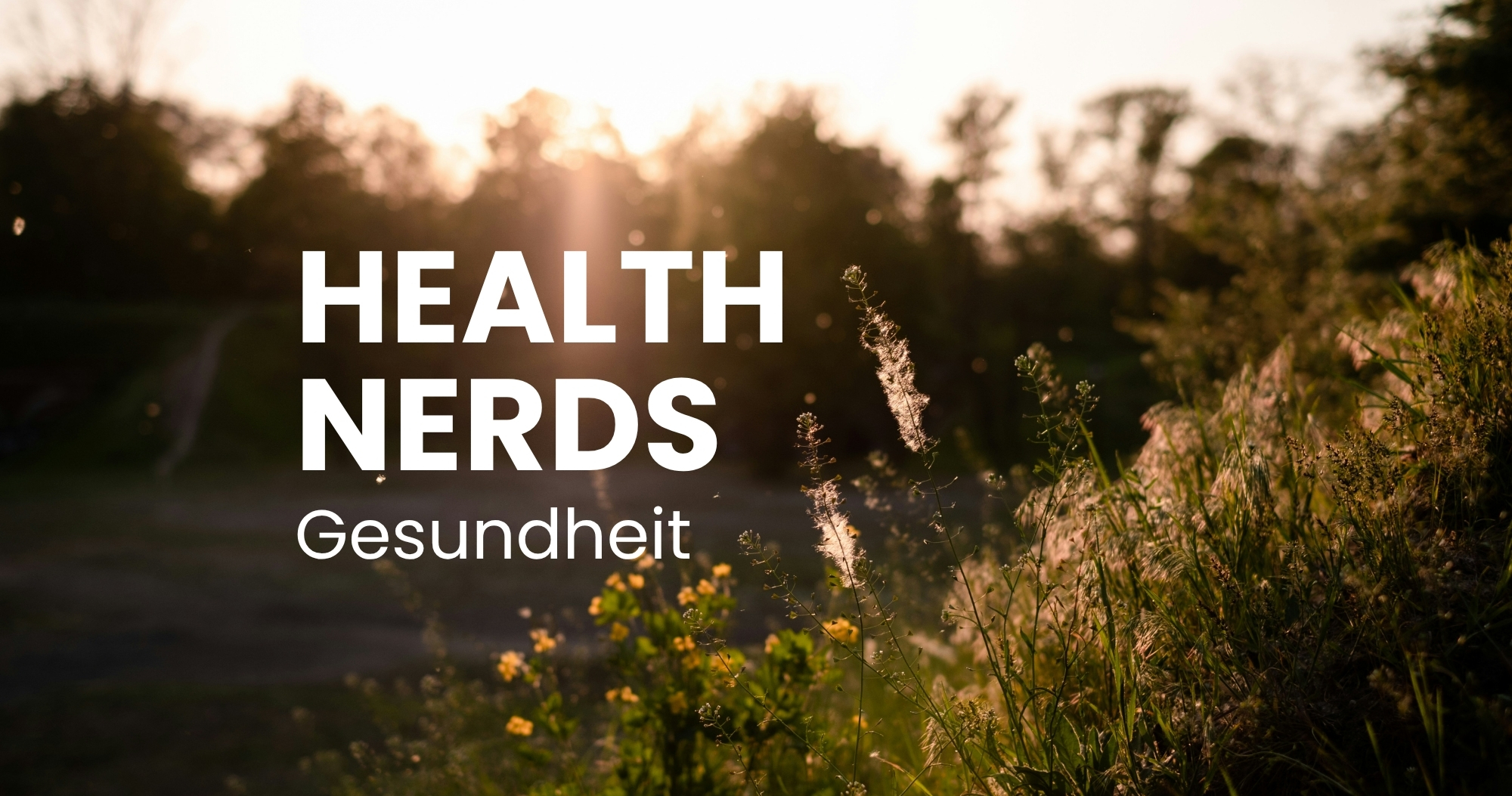 Gesundheitspodcast: Allergien & Heuschnupfen - Immunsystem verstehen & unterstützen