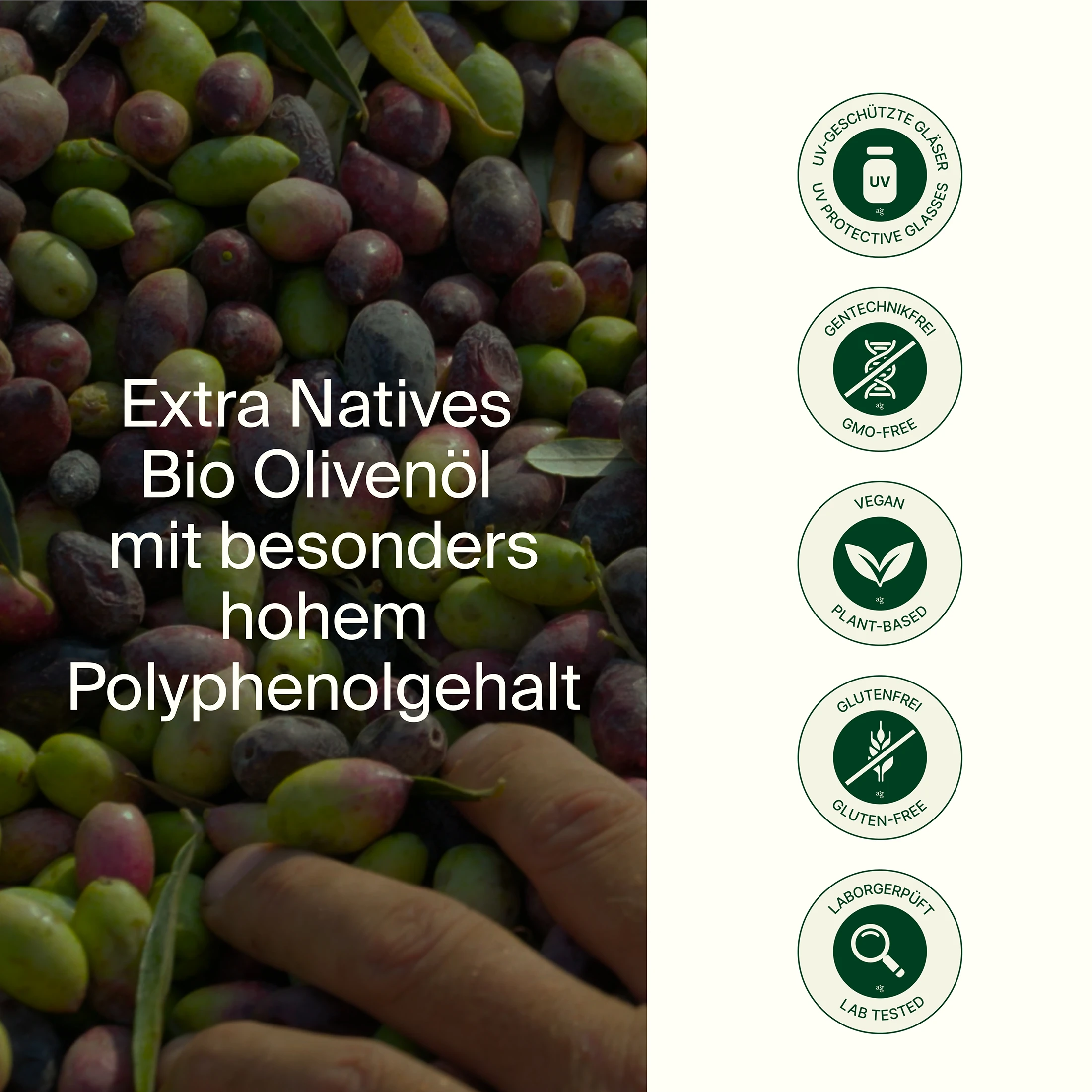 Phenolio Bio Olivenöl | 500 mL