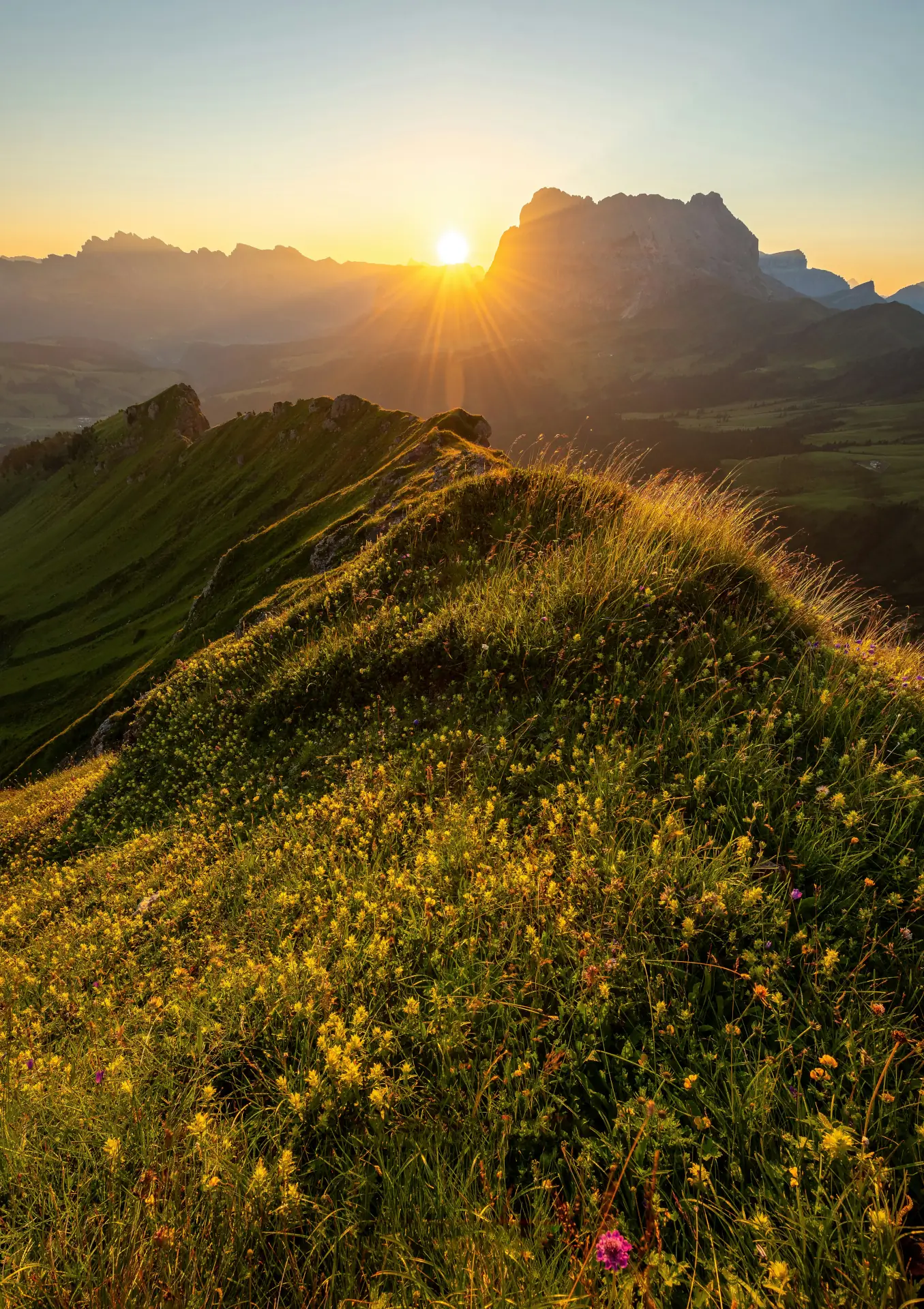 Astaxanthin 8 mg Bild zu Natürlicher Sonnenschutz
