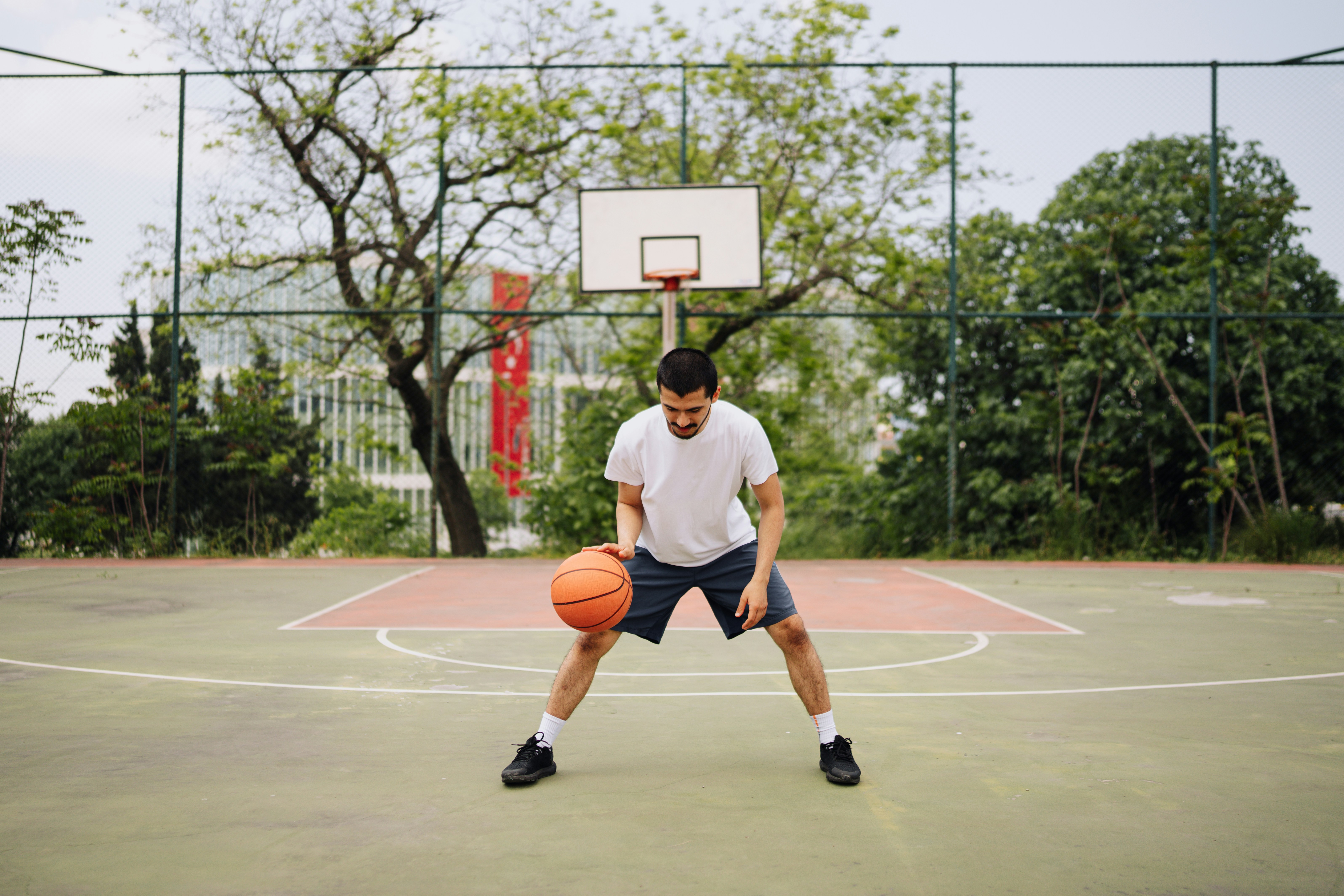 Multivitamin Mineralstoff Komplex Bild zu Natürliche Vital- und Mikronährstoffe