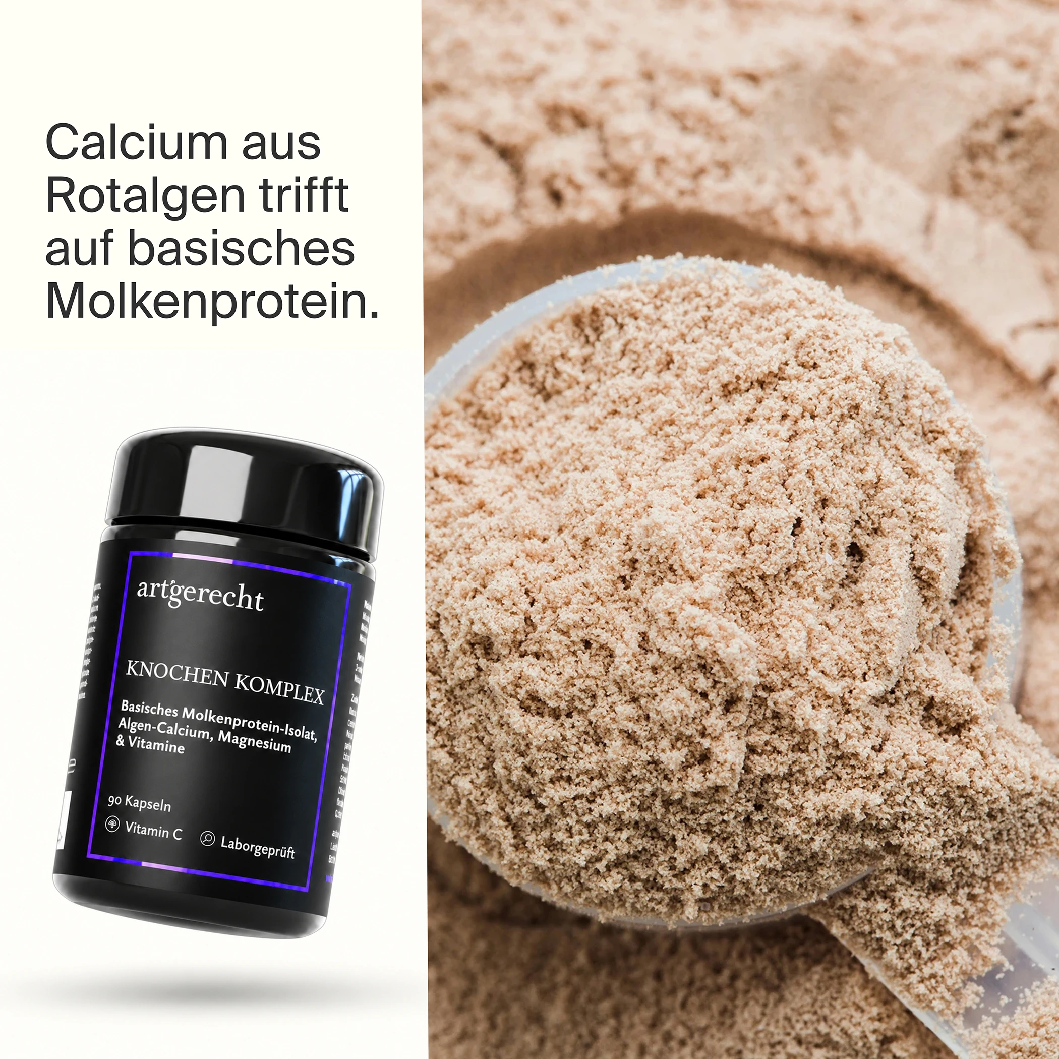 Knochen Komplex