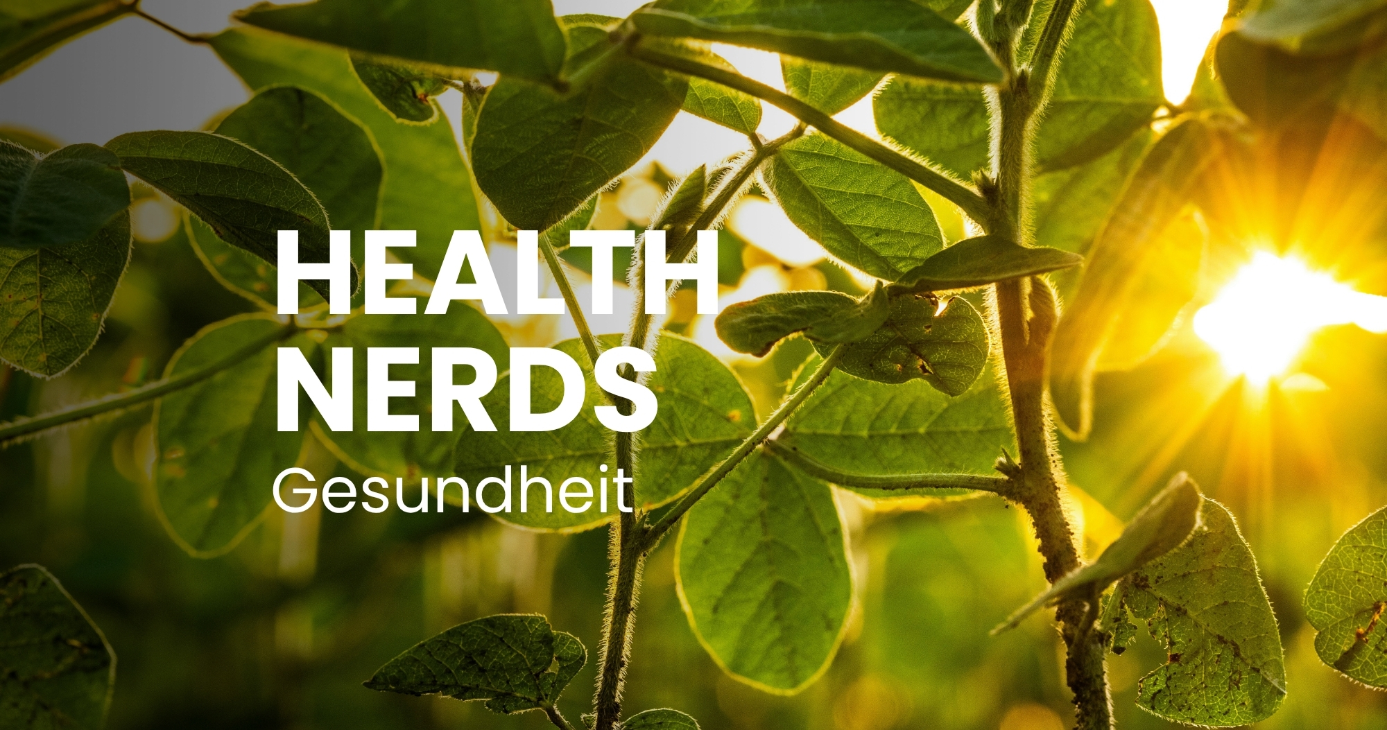 Nahrungsergänzungsmittel