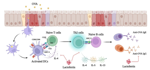 Premium Nahrungserg&auml;nzungsmittel & Superfood