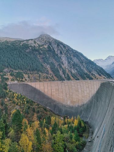 Premium Nahrungserg&auml;nzungsmittel & Superfood