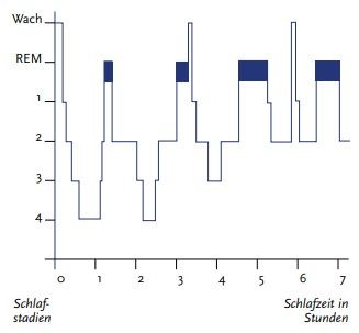 Premium Nahrungserg&auml;nzungsmittel & Superfood