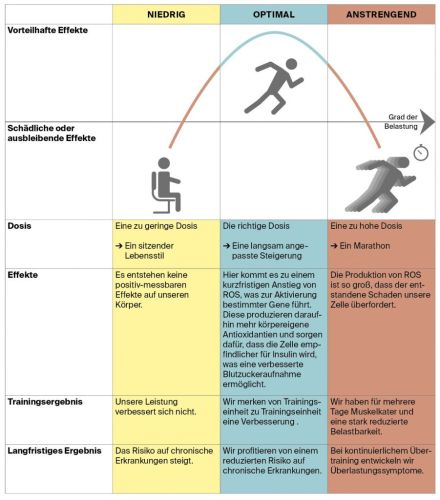 Premium Nahrungsergänzungsmittel & Superfood