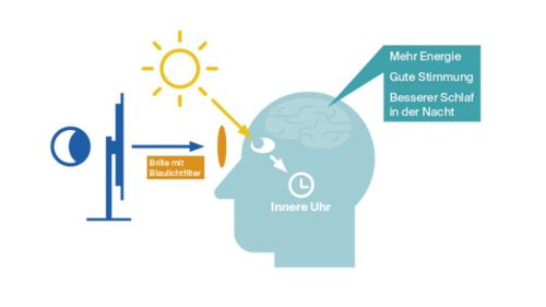 Premium Nahrungserg&auml;nzungsmittel & Superfood