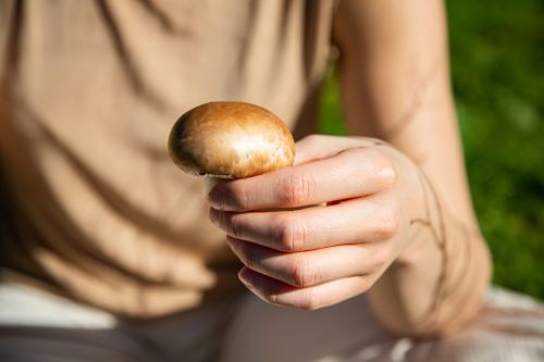 Premium Nahrungserg&auml;nzungsmittel & Superfood