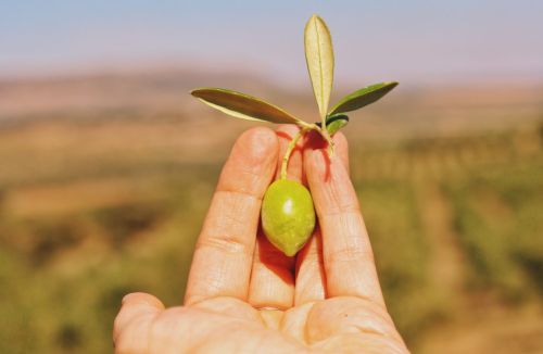 Premium Nahrungserg&auml;nzungsmittel & Superfood