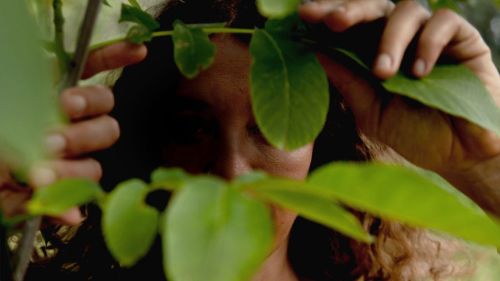 Premium Nahrungserg&auml;nzungsmittel & Superfood