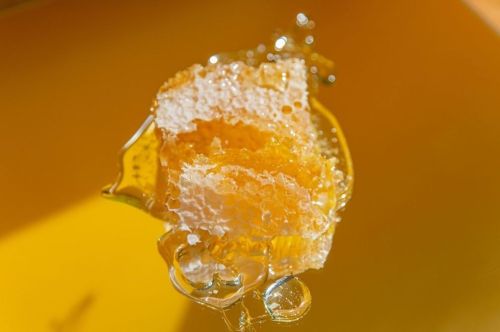 Premium Nahrungsergänzungsmittel & Superfood