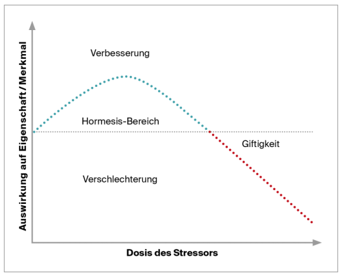 Premium Nahrungserg&auml;nzungsmittel & Superfood