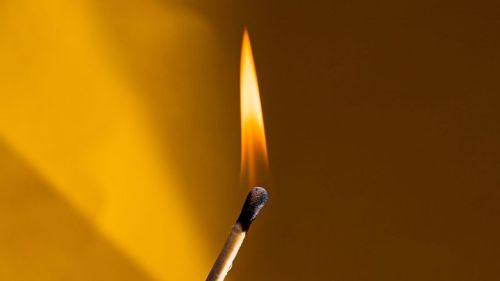 Premium Nahrungserg&auml;nzungsmittel & Superfood