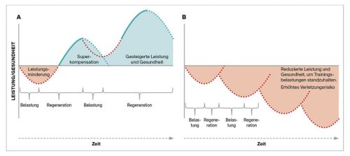 Premium Nahrungserg&auml;nzungsmittel & Superfood