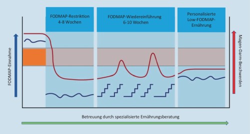 Drei Phasen der Low-FODMAP-Di&auml;t mit Verlauf von FODMAP-Aufnahme und Magen-Darm-Beschwerden: Restriktion, Wiedereinf&uuml;hrung und personalisierte Ern&auml;hrung.