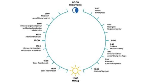 Premium Nahrungserg&auml;nzungsmittel & Superfood