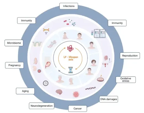 Premium Nahrungserg&auml;nzungsmittel & Superfood