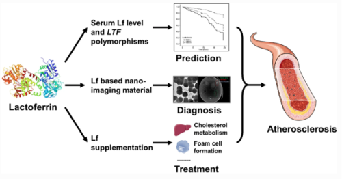 Premium Nahrungserg&auml;nzungsmittel & Superfood