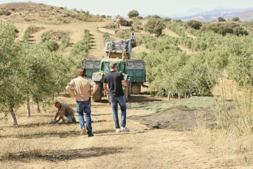 Premium Nahrungserg&auml;nzungsmittel & Superfood