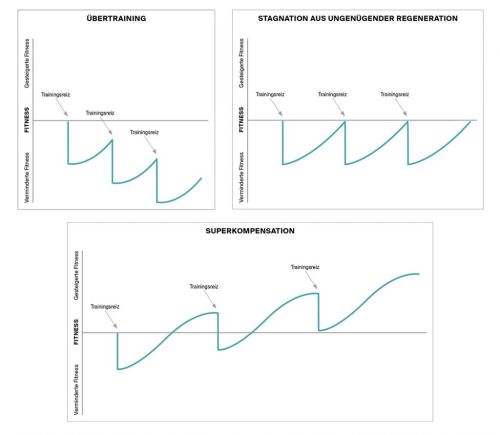 Premium Nahrungserg&auml;nzungsmittel & Superfood