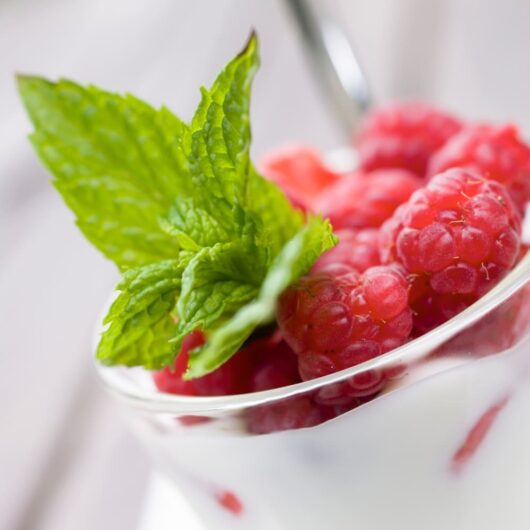 Kollagen Joghurt