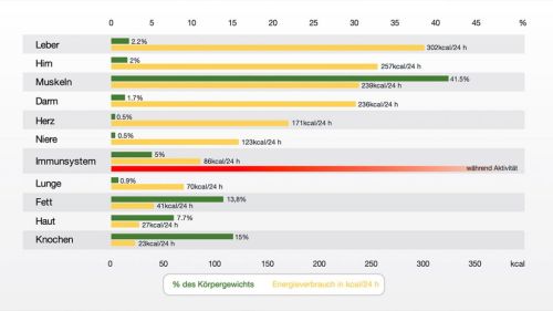 Premium Nahrungserg&auml;nzungsmittel & Superfood