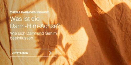 Magazin-Artikel: Was ist die Darm-Hirn-Achse?