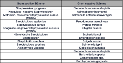Premium Nahrungsergänzungsmittel & Superfood