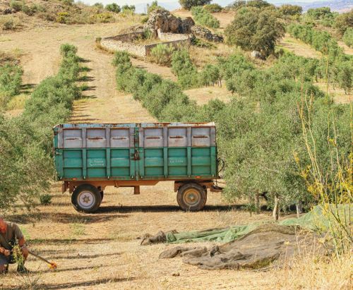 Premium Nahrungserg&auml;nzungsmittel & Superfood