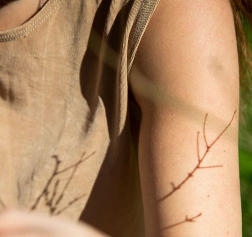 Premium Nahrungserg&auml;nzungsmittel & Superfood