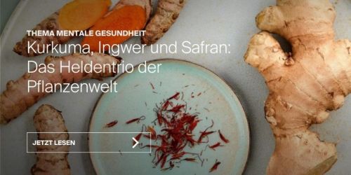 Magazin-Artikel: Kurkuma, Ingwer und Safran &ndash; das Heldentrio der Pflanzenwelt