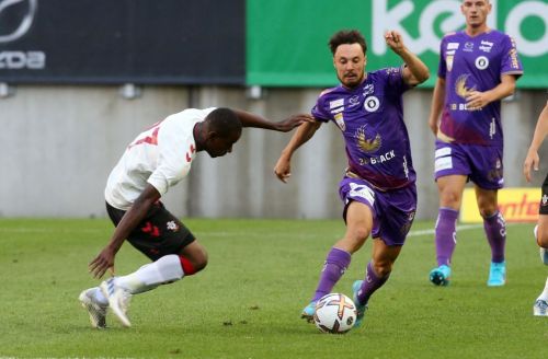 Premium Nahrungsergänzungsmittel & Superfood