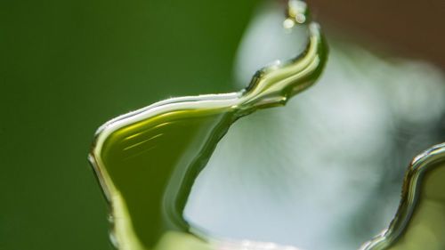 Premium Nahrungserg&auml;nzungsmittel & Superfood