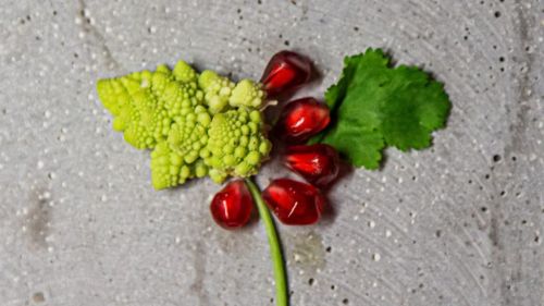 Premium Nahrungserg&auml;nzungsmittel & Superfood