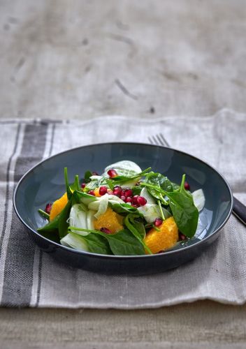 Premium Nahrungserg&auml;nzungsmittel & Superfood