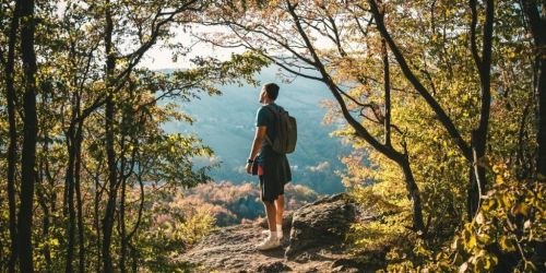 artgerecht Magazin: Mentale Gesundheit &ndash; Waldbaden n&auml;hrt die Seele