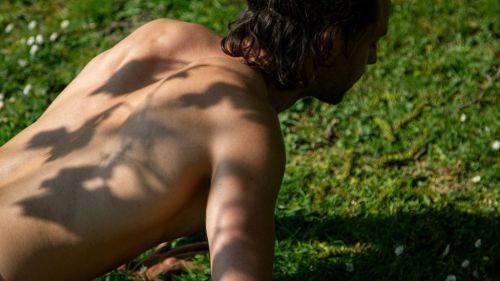 Premium Nahrungserg&auml;nzungsmittel & Superfood