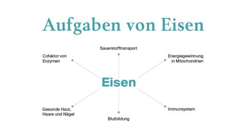 Premium Nahrungsergänzungsmittel & Superfood