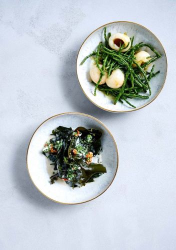 Premium Nahrungserg&auml;nzungsmittel & Superfood